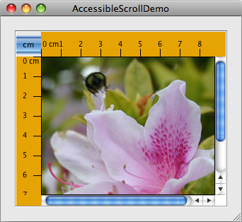 AccessibleScrollDemo screen shot.