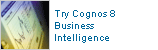 Try Cognos 8 Business 
Intelligence